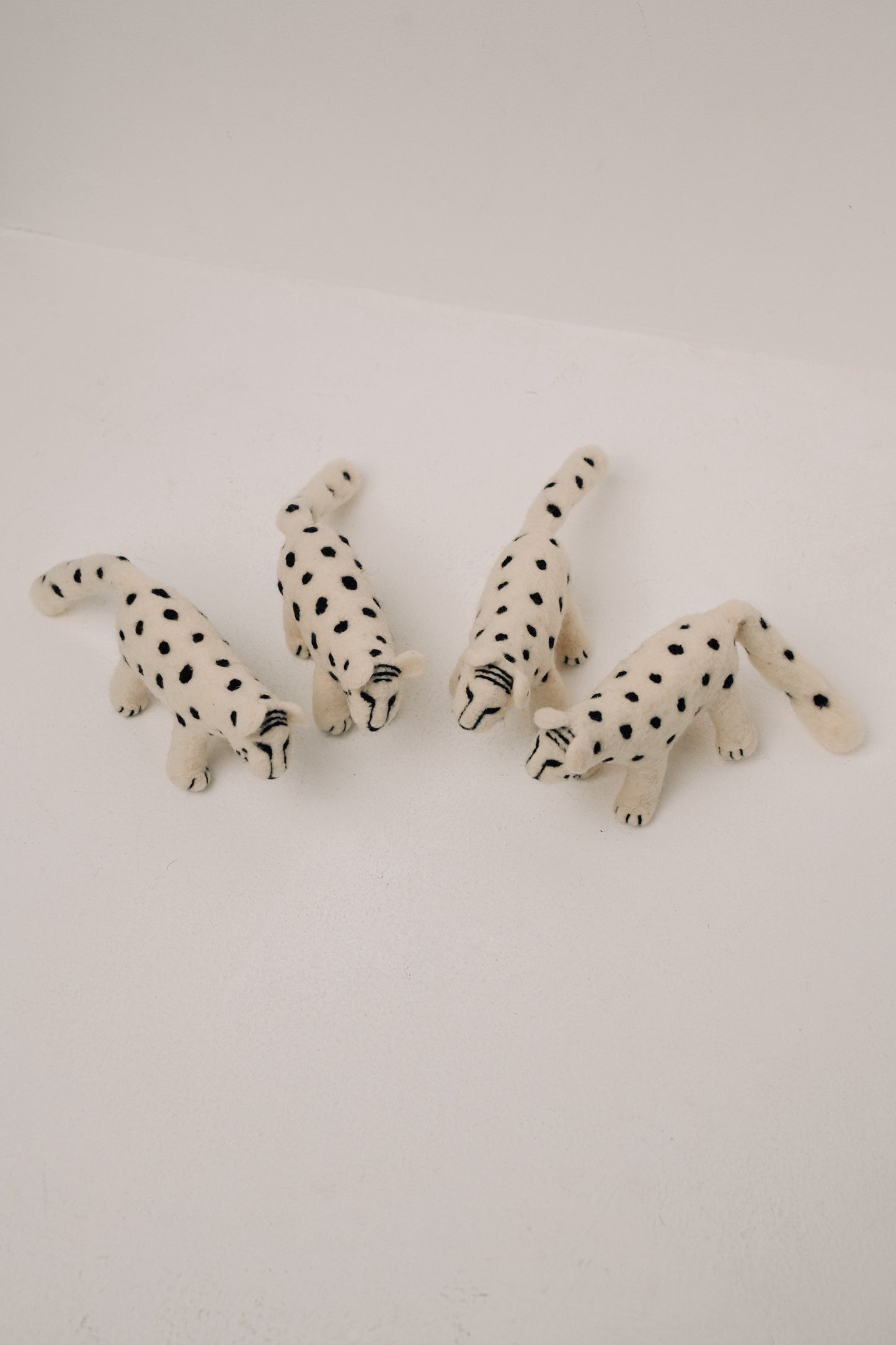 Snow Leopard – Symbol of Grace and Inner Power