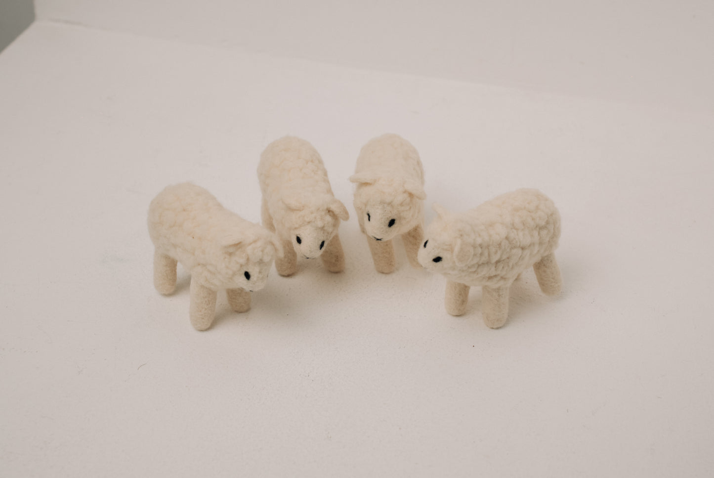 Sheep – Symbol of Comfort and Abundance