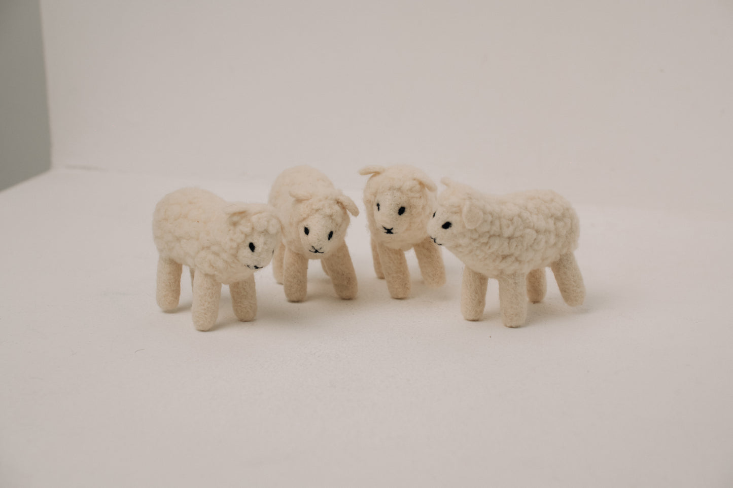 Sheep – Symbol of Comfort and Abundance
