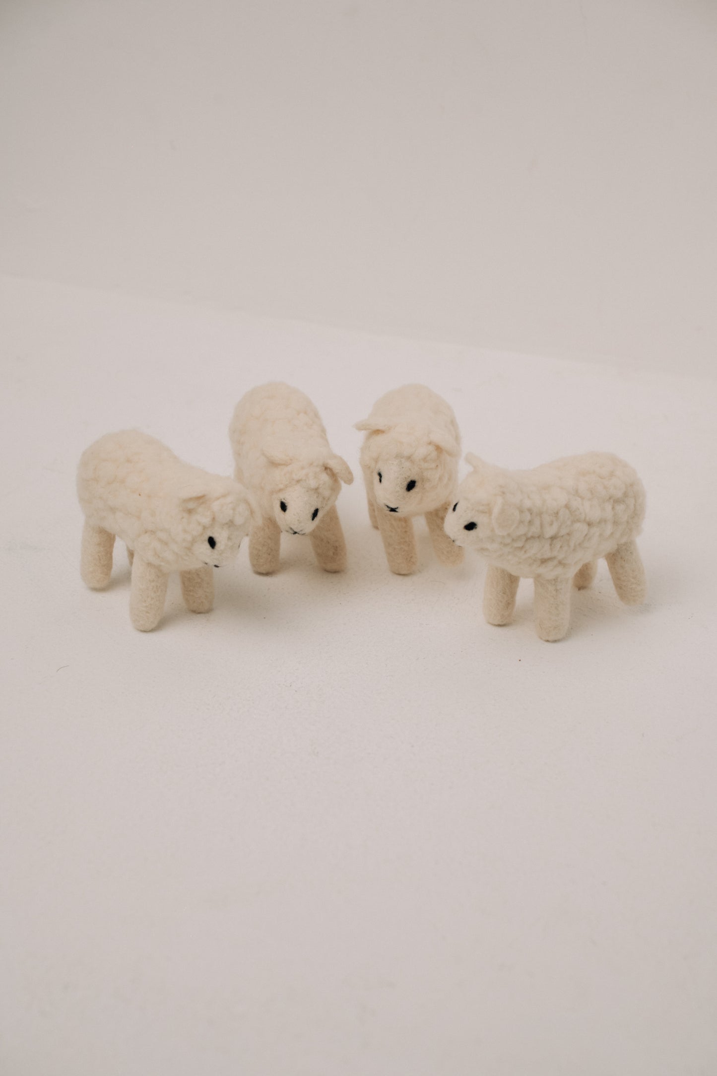 Sheep – Symbol of Comfort and Abundance