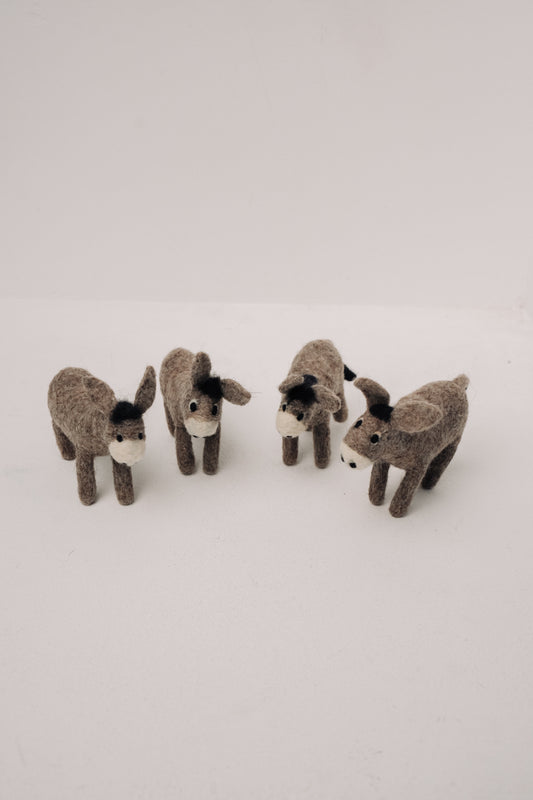 Donkey – Symbol of Humility, Perseverance, and Loyalty