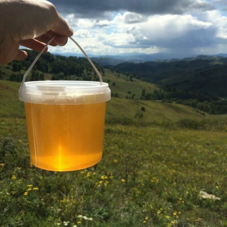 Natural Honey from Kyrgyzstan