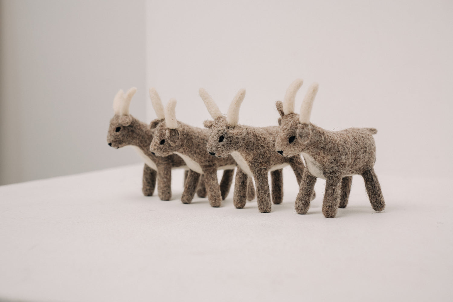 "Spirit of the Mountains" Collection by Nomad Store