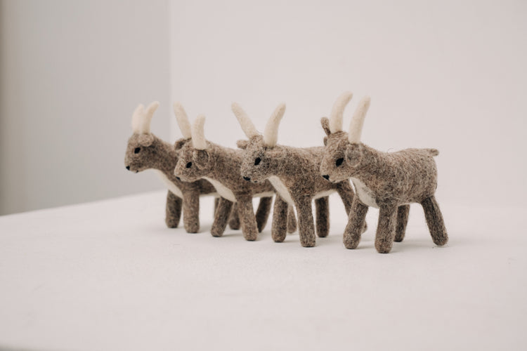 "Spirit of the Mountains" Collection by Nomad Store