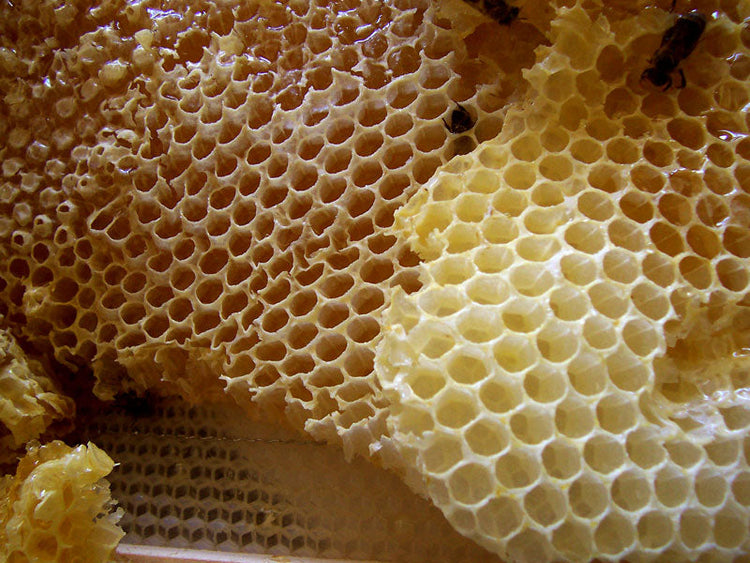 Organic Products