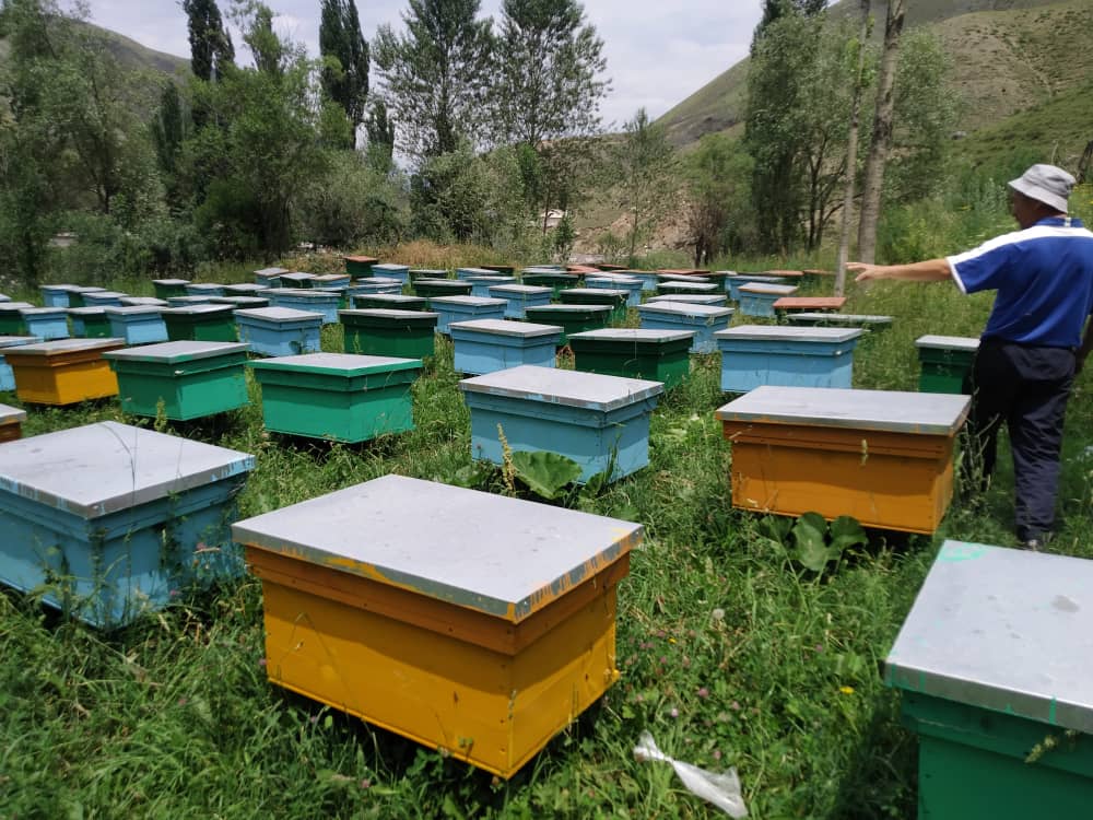 Natural Honey from Kyrgyzstan