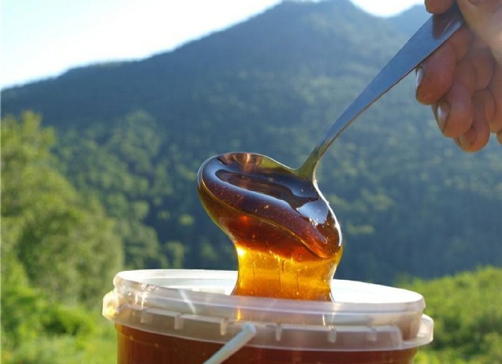 Natural Honey from Kyrgyzstan