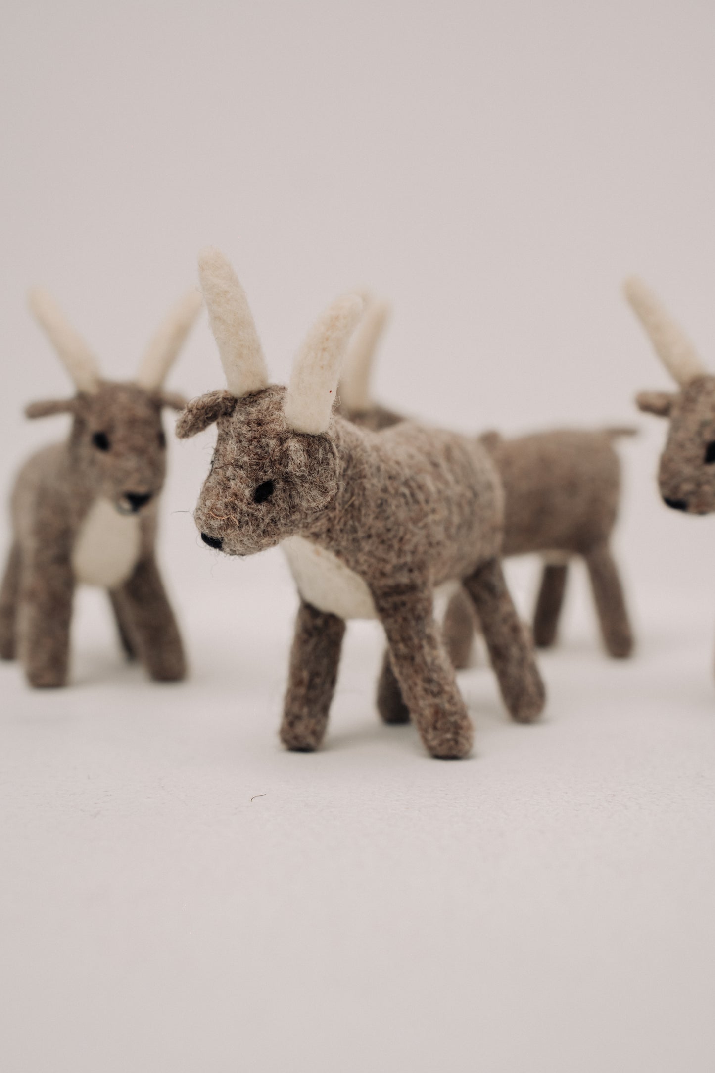 Mountain Goat – Symbol of Strength and Resilience