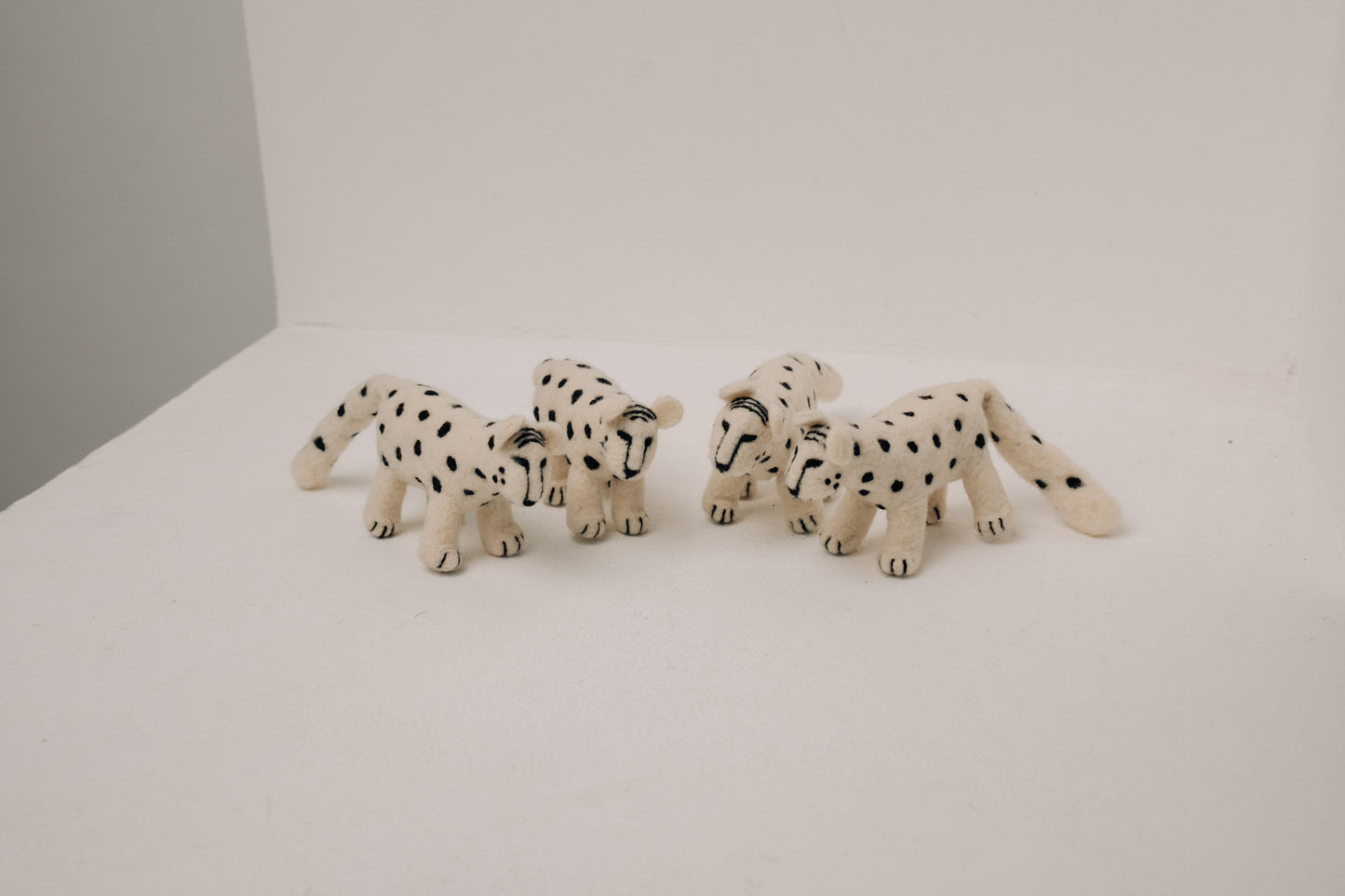Snow Leopard – Symbol of Grace and Inner Power