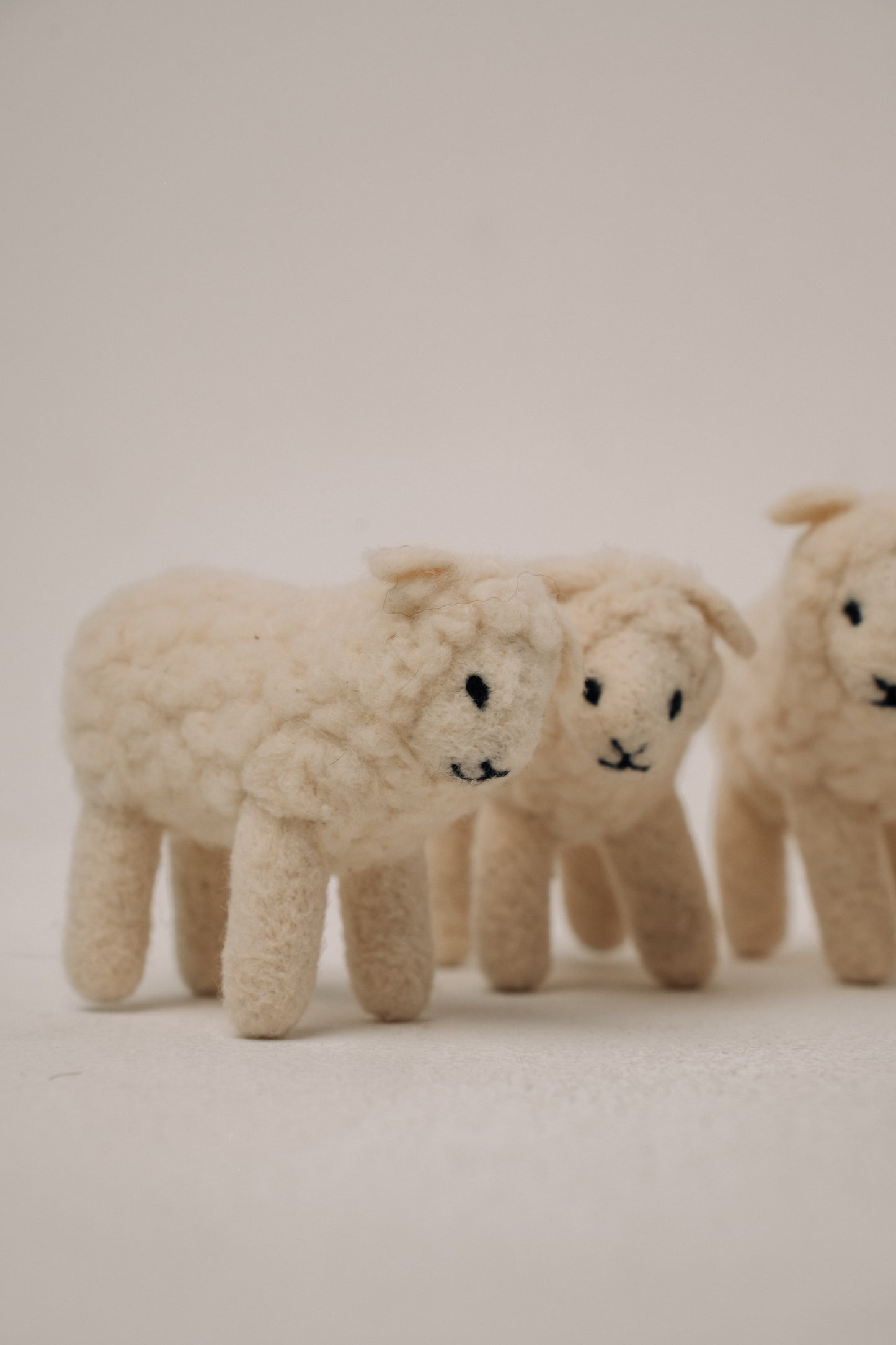 Sheep – Symbol of Comfort and Abundance