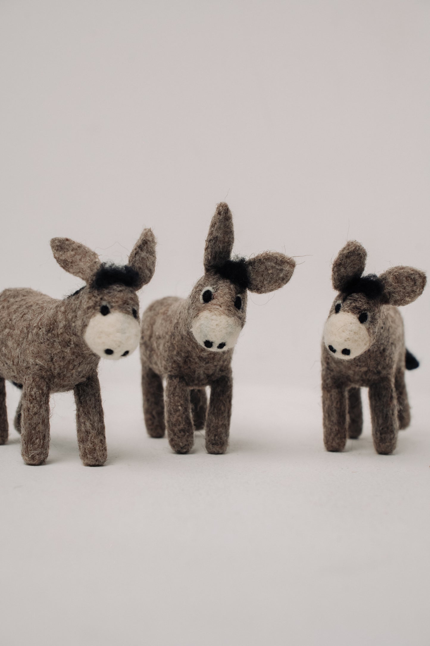 Donkey – Symbol of Humility, Perseverance, and Loyalty