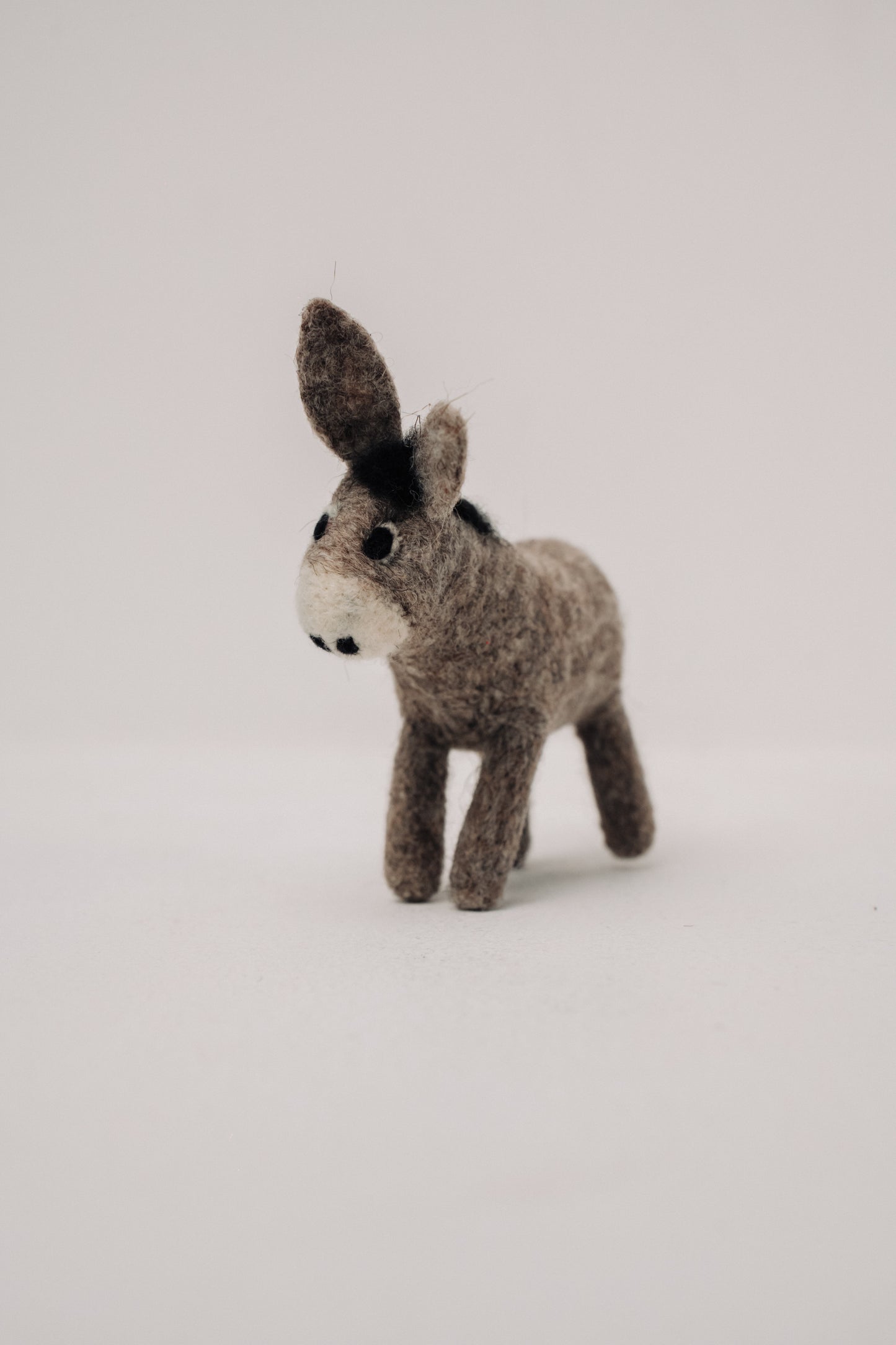 Donkey – Symbol of Humility, Perseverance, and Loyalty
