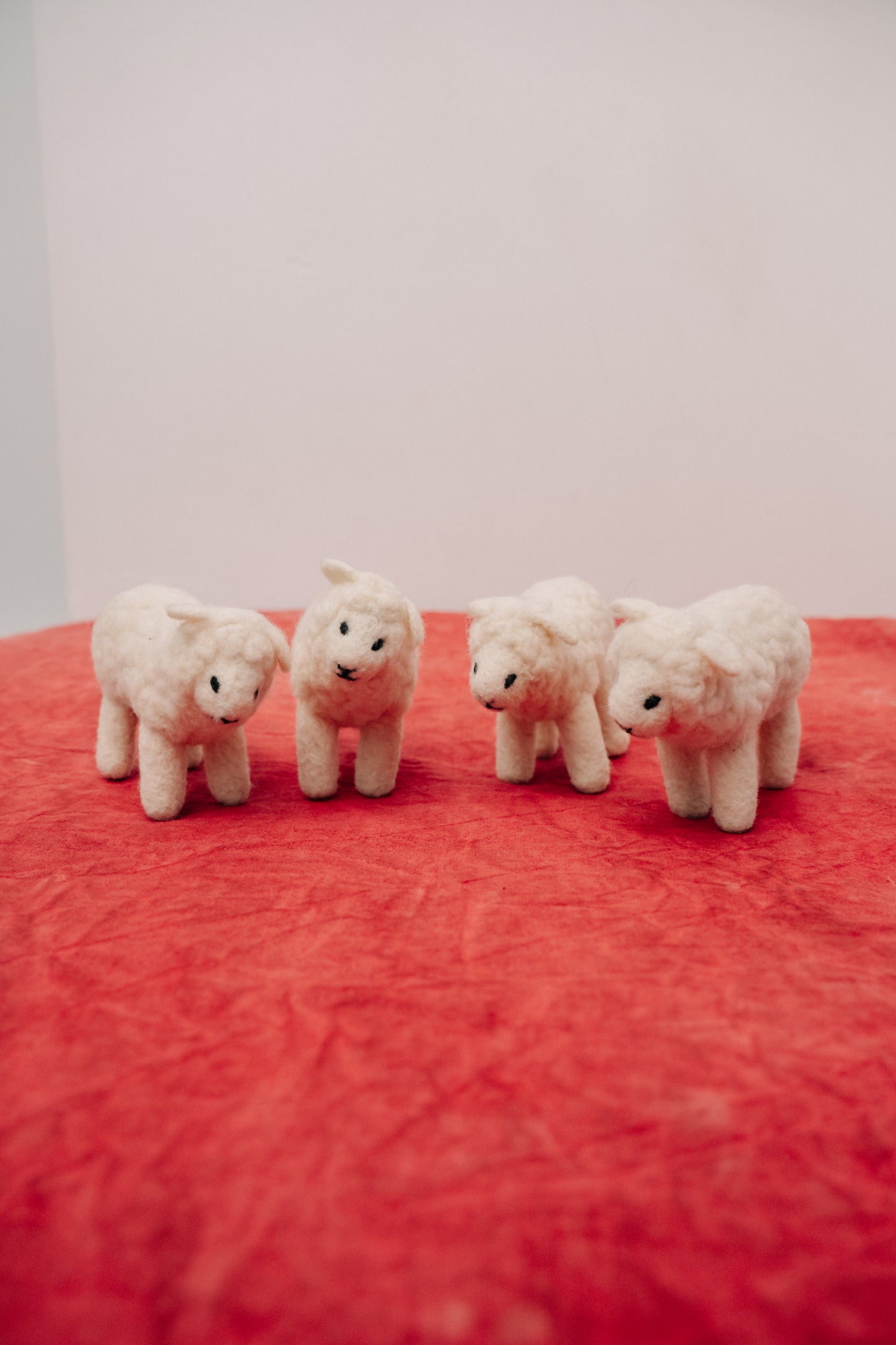 Sheep – Symbol of Comfort and Abundance
