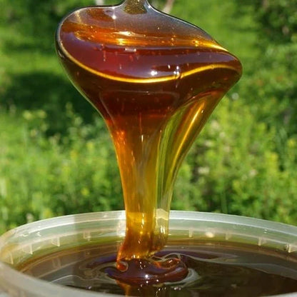 Natural Honey from Kyrgyzstan