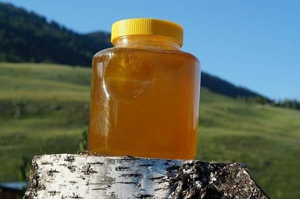 Natural Honey from Kyrgyzstan